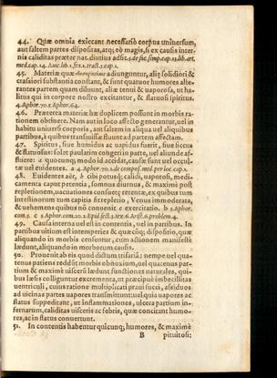 Pagina 