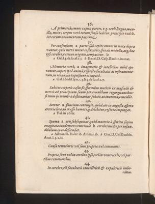 Pagina 