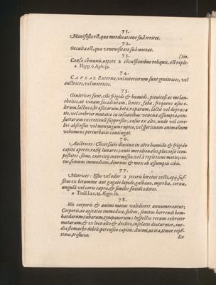 Pagina 