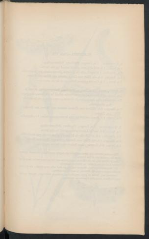 Seite 