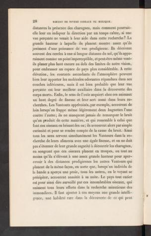 Seite 