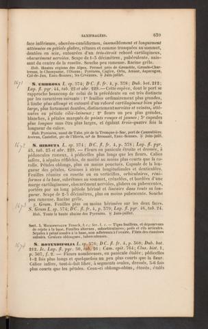 Seite 