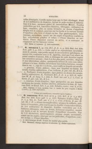 Seite 