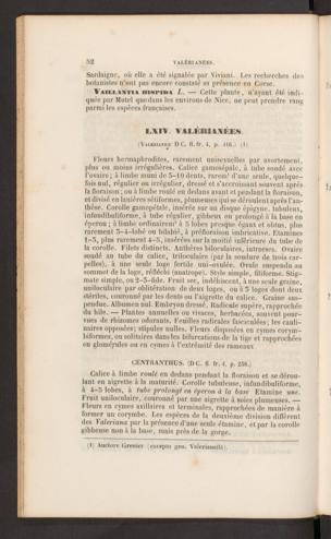 Seite 