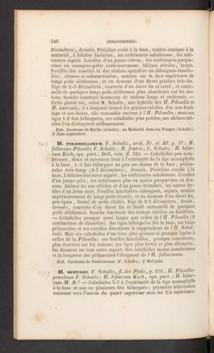 Seite 