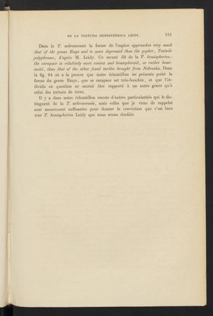 Seite 