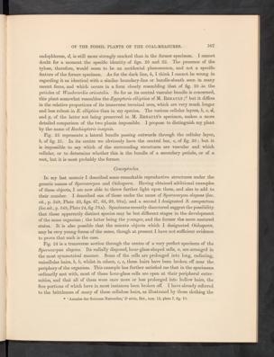 Seite 