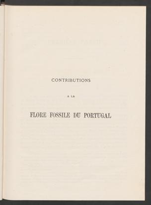 Seite 