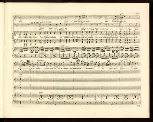 Seite 