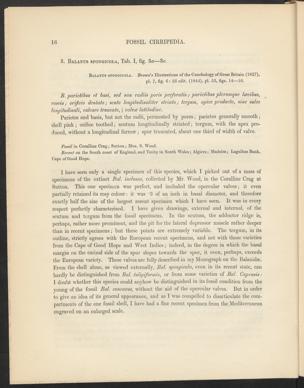 Seite 