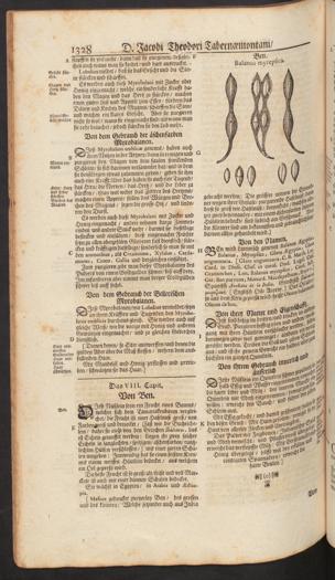 Seite 
