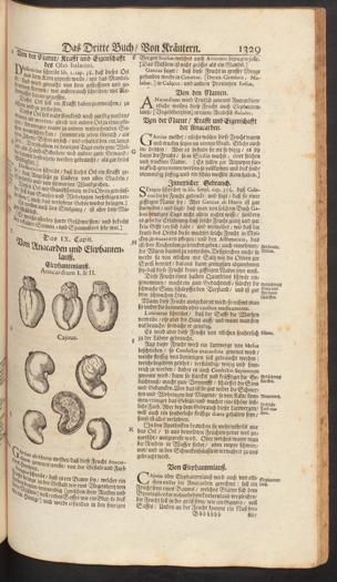 Seite 
