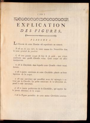 Seite 