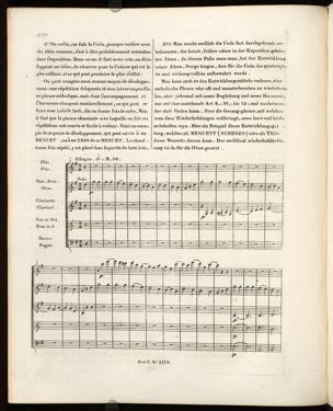 Seite 