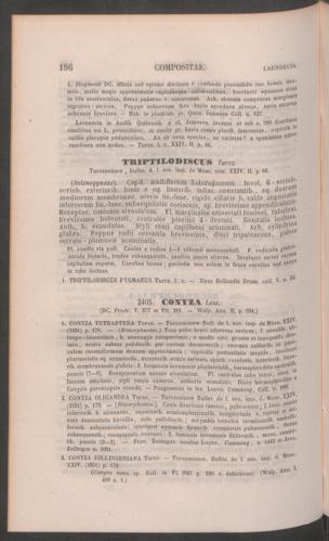 Seite 