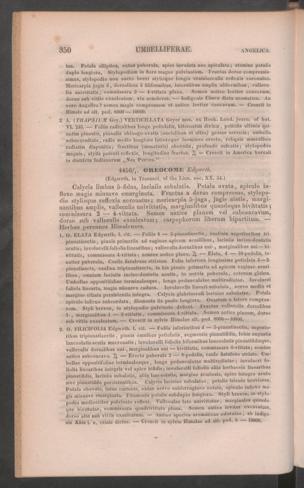 Seite 