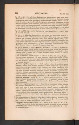 Seite 