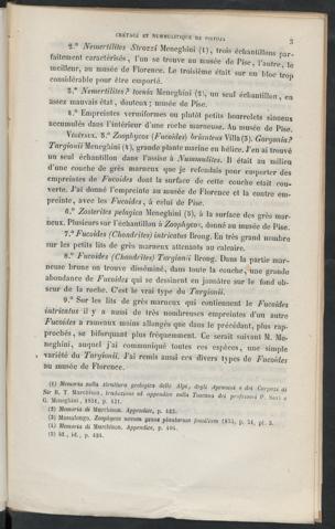 Seite 