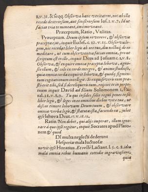 Pagina 