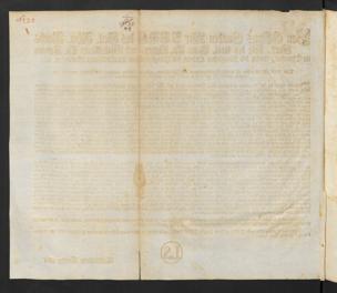 Pagina 