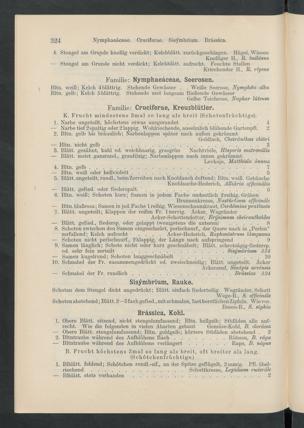 Seite 