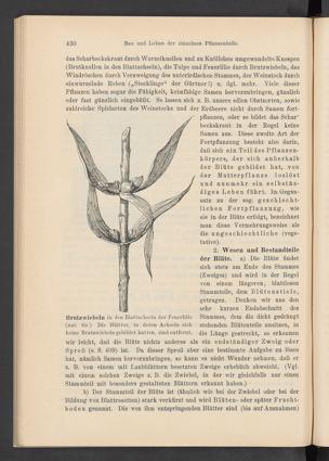 Seite 