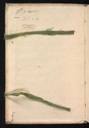 Pagina 