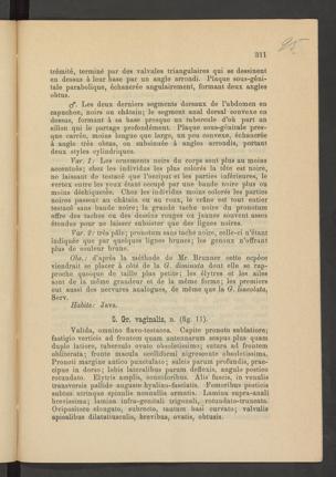 Seite 