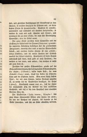 Pagina 