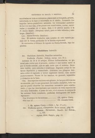 Seite 