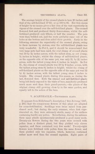 Seite 