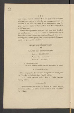 Seite 