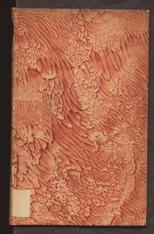 Pagina 
