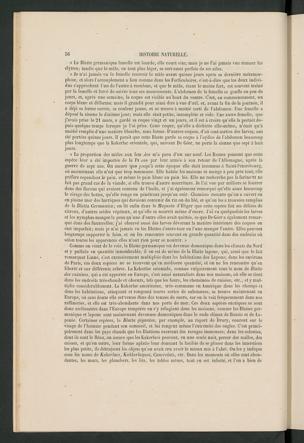 Seite 