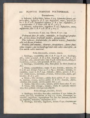 Seite 