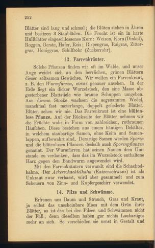Seite 