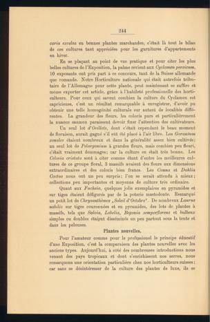 Seite 