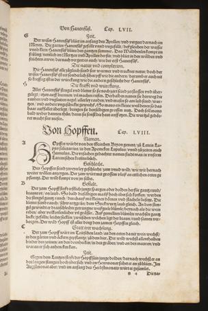 Seite 