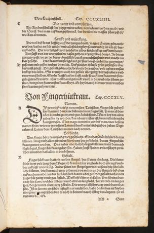 Seite 