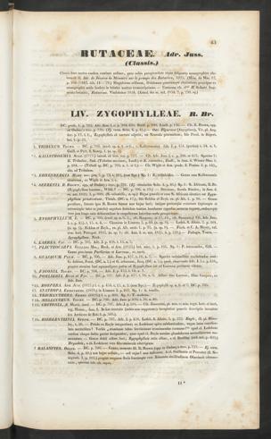 Seite 