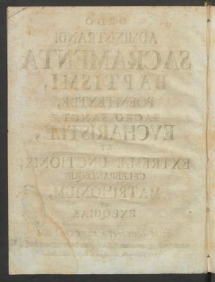 Pagina 