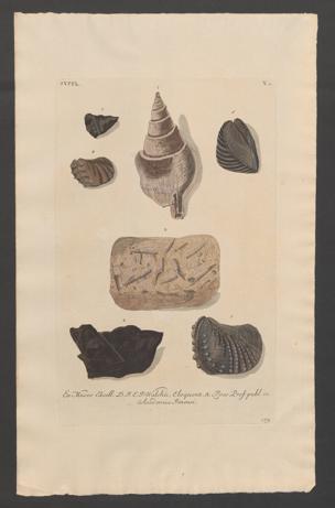 Seite 