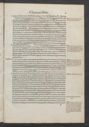 Pagina 