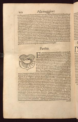 Seite 
