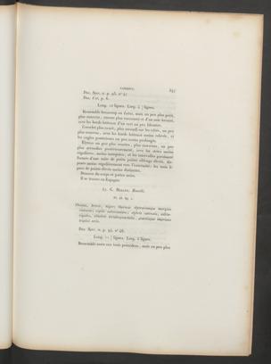 Seite 