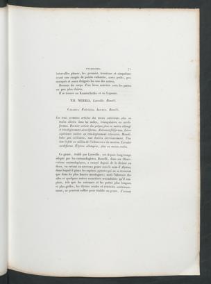 Seite 