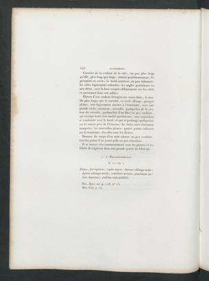 Seite 