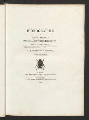 Seite 