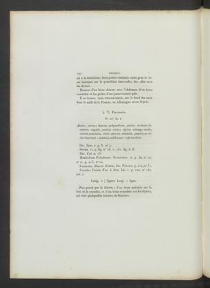 Seite 