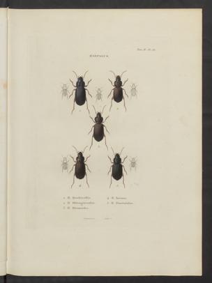 Seite 